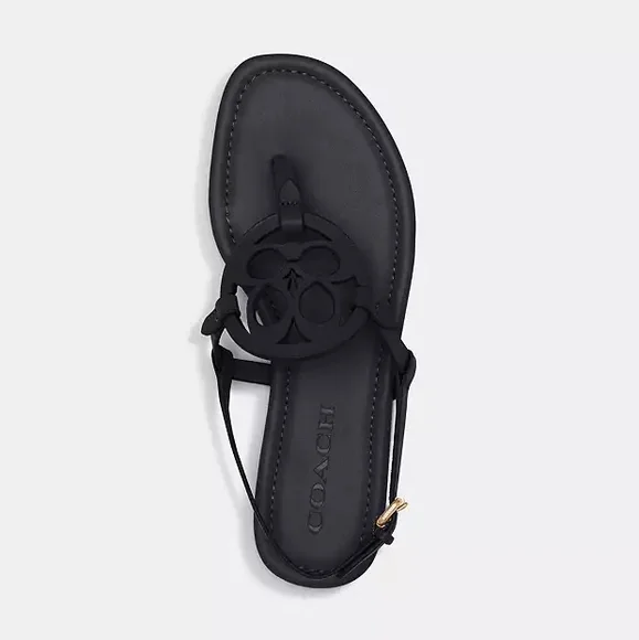 Coach Jaci Sandals - Picture 3 of 14